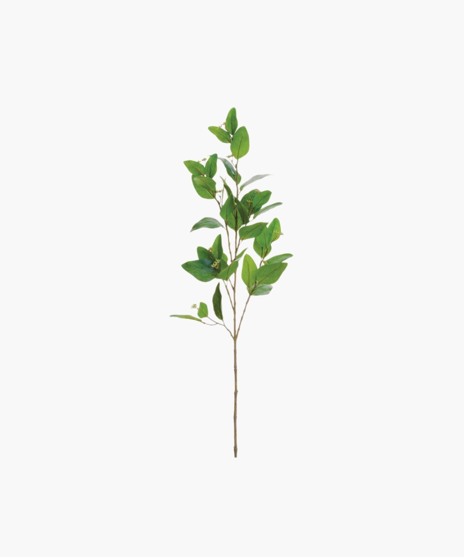 Artificial eucalyptus stem with green leaves on a white background. | SW Home