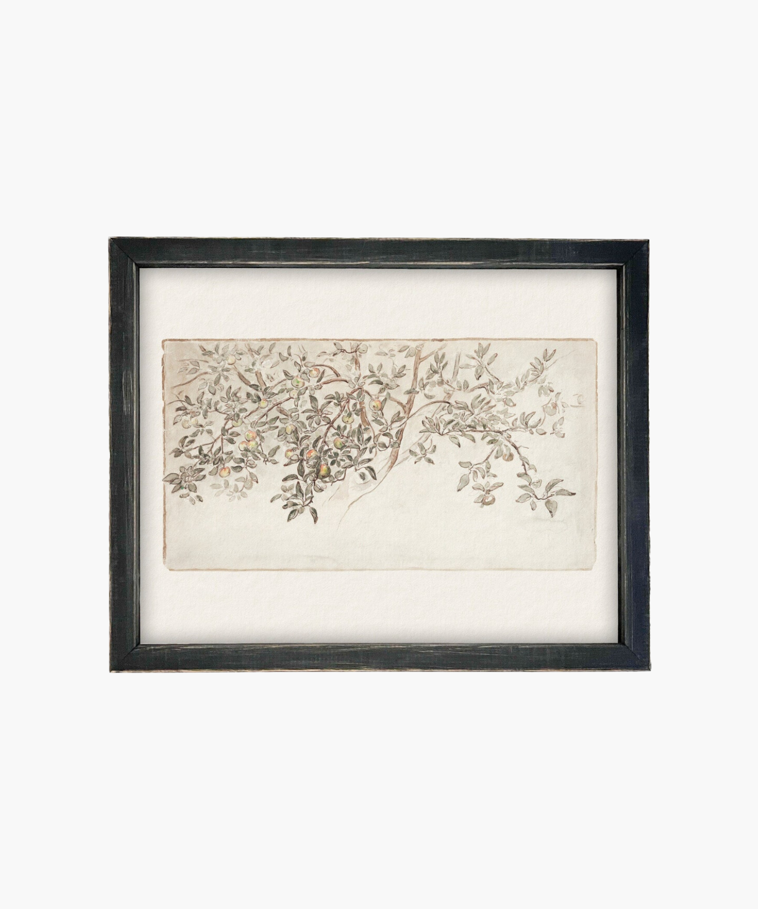 An elegant painting of a leafy branch with small fruits, delicately sketched in soft colors. Framed in black, it conveys a serene, organic vibe. | Wildwood Home Co.