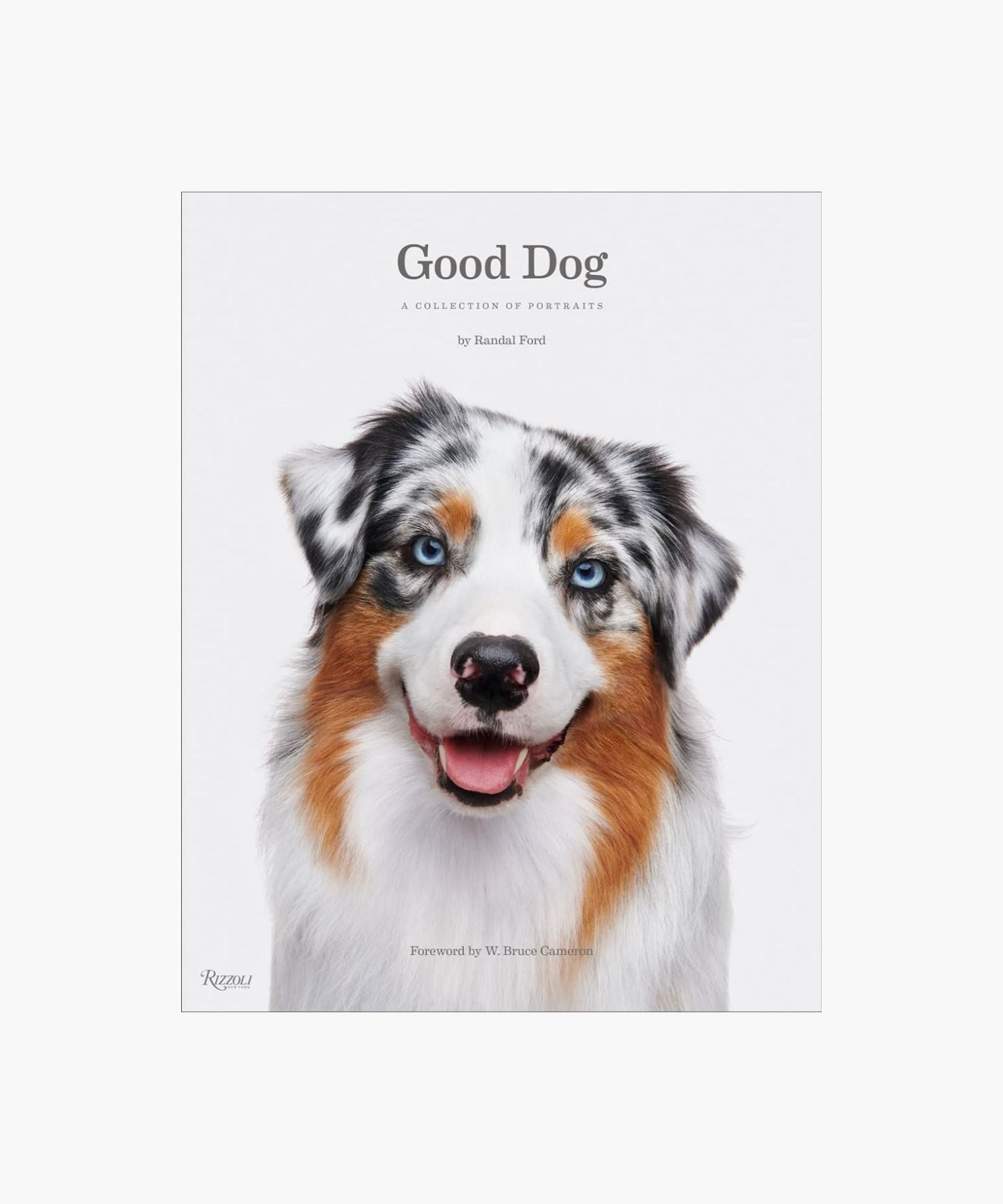 The cover of "Good Dog" by Randal Ford featuring a close-up of a happy Australian Shepherd with blue eyes and a multicolored coat. Bright, joyful tone. | S.W. Home