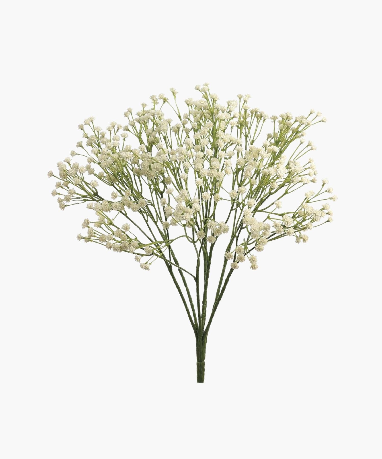 A cluster of small white blossoms with thin green stems, arranged in a full spray as the Gypsophila Bunch. | SW Home
