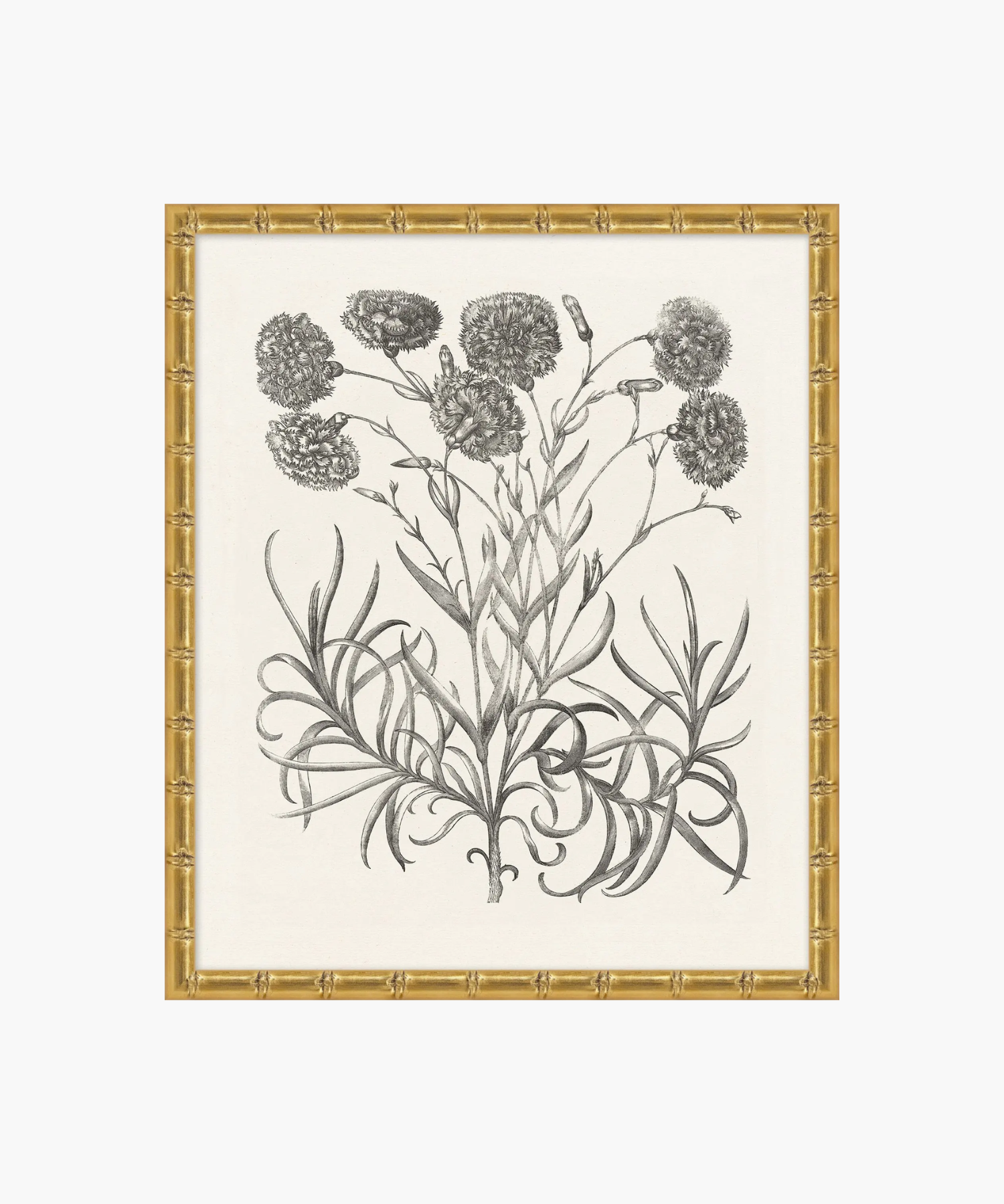 Botanical Study No. 14