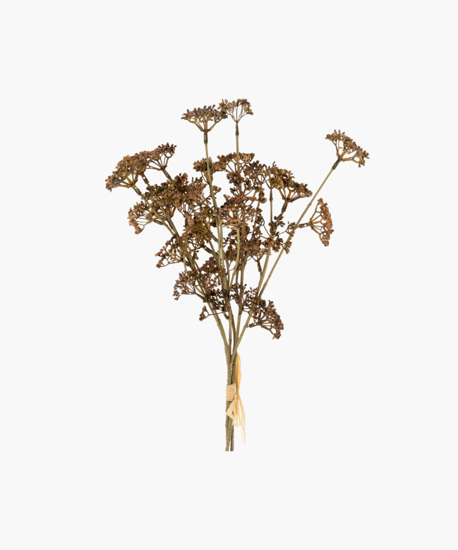 A bundle of artificial, brown flowers with multiple small blossoms on long stems, tied with raffia. The bouquet has an earthy, rustic charm against a white background. | SW Home