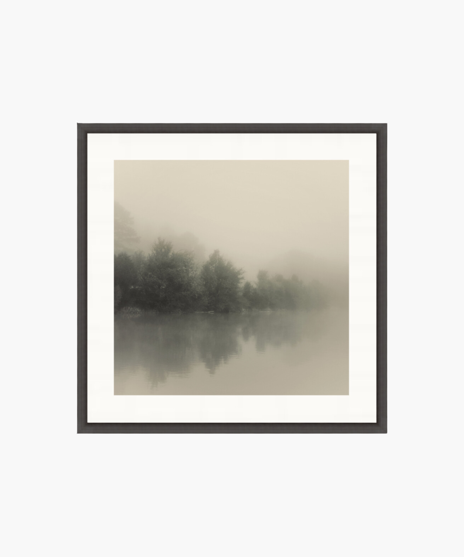 A serene landscape shows a misty lake with a line of trees in the background. The fog creates a soft, tranquil atmosphere, with muted shades of gray. | S.W. Home