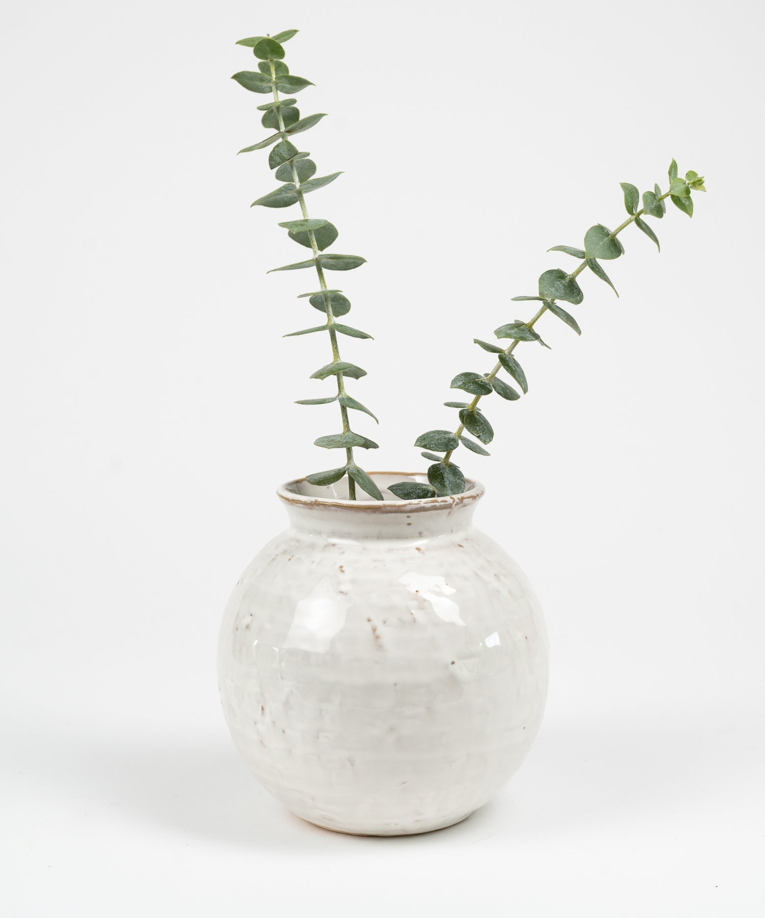 Round ceramic vase with a textured white glaze, holding two stems of green eucalyptus against a plain white background, creating a minimalist and serene tone. | S.W. Home