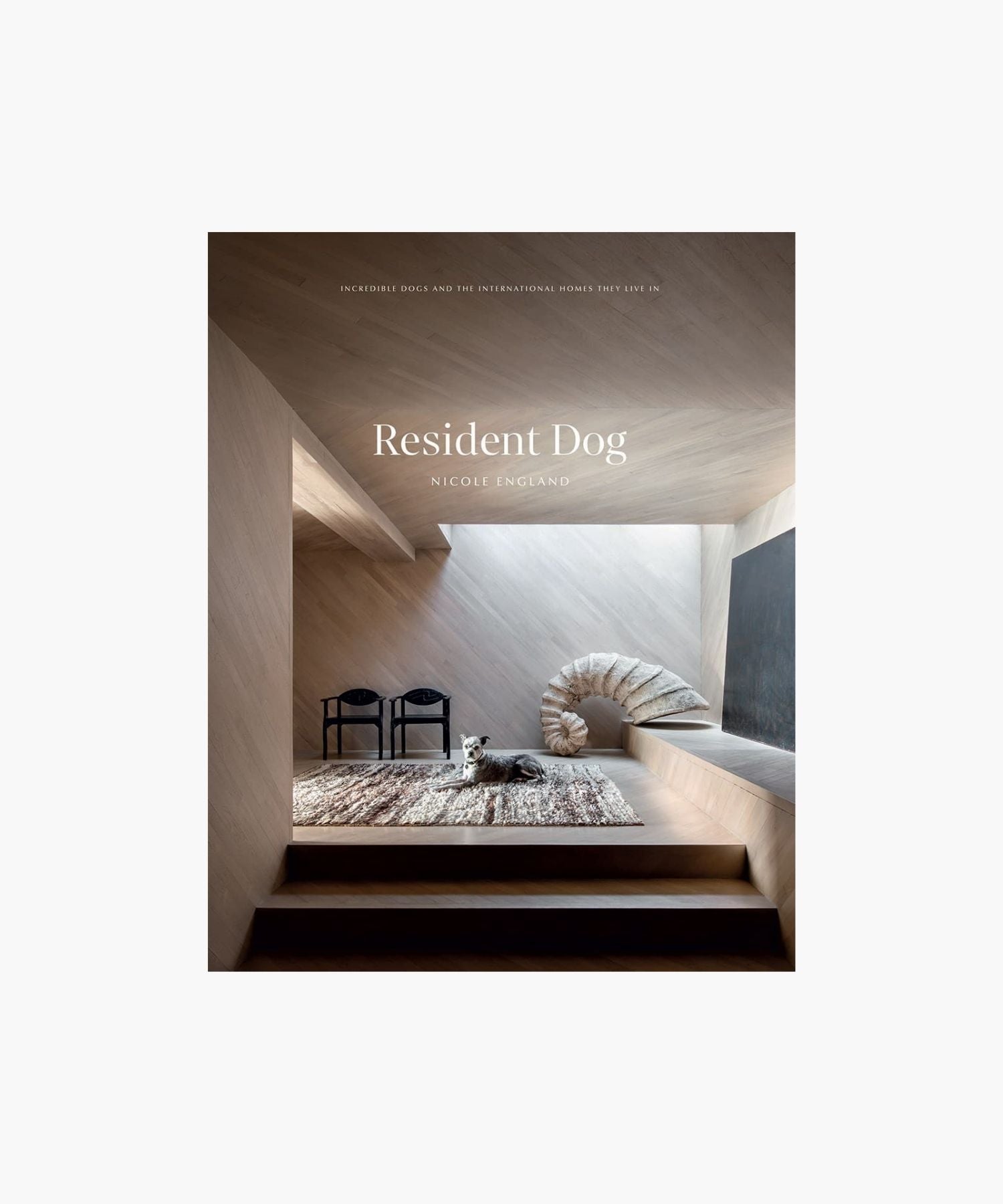 The cover of the book " Resident Dog" by Nicole England features a sleek modern interior features a relaxed dog on a textured rug, with minimalist decor and soft lighting, conveying a serene, elegant atmosphere. | S.W. Home