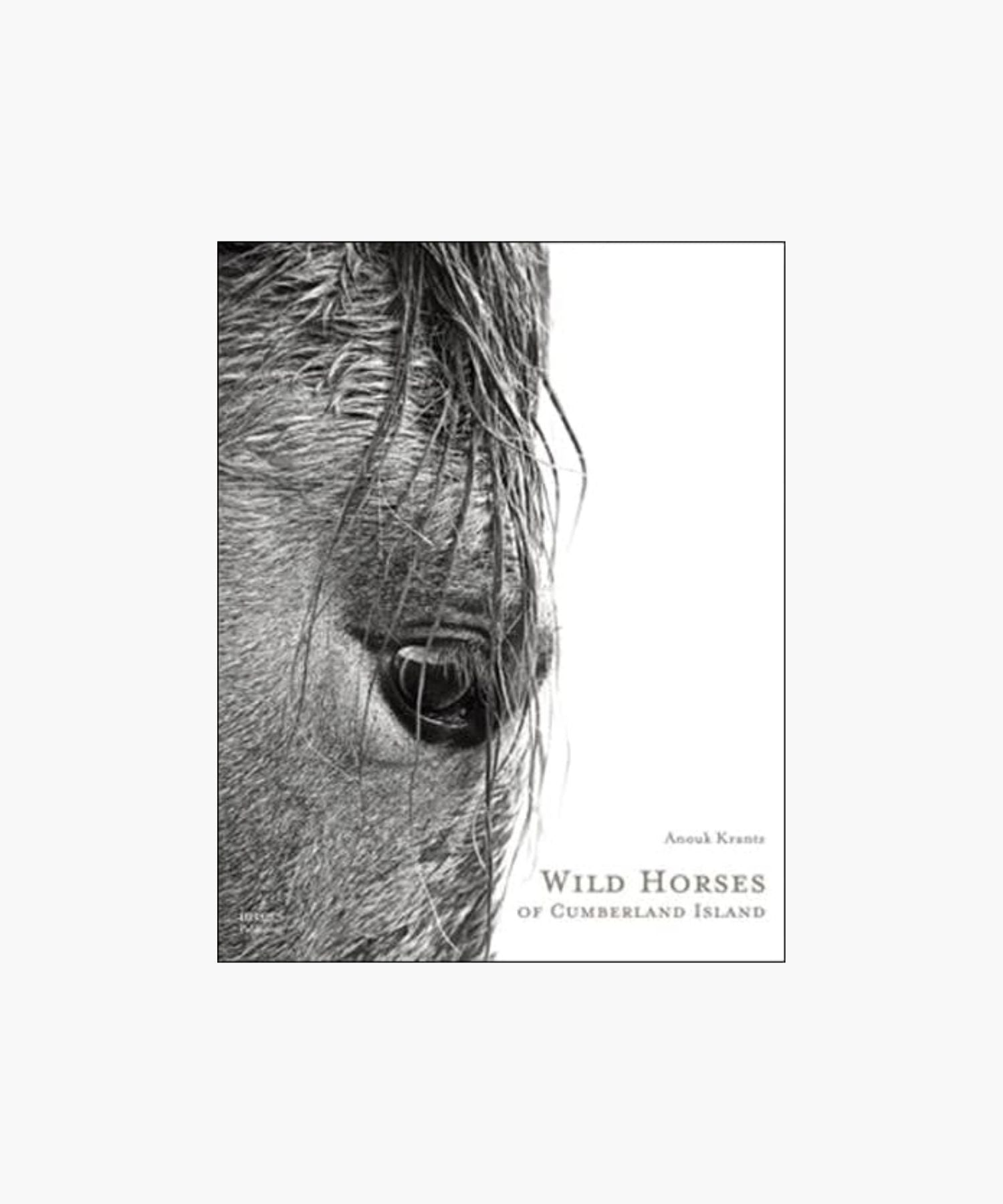 The cover of the book "Wild Horses of Cumberland Island" by Anouk Krantz features a close-up black-and-white photo of a horse's eye with its mane hanging down. The image exudes a serene and mysterious tone. | S.W. Home